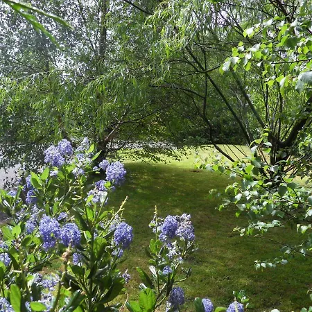 Ethan * Килларни