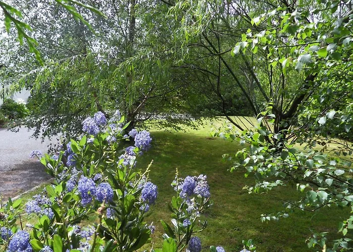 Ethan * Килларни